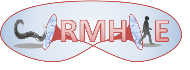 WORMHOLE logo